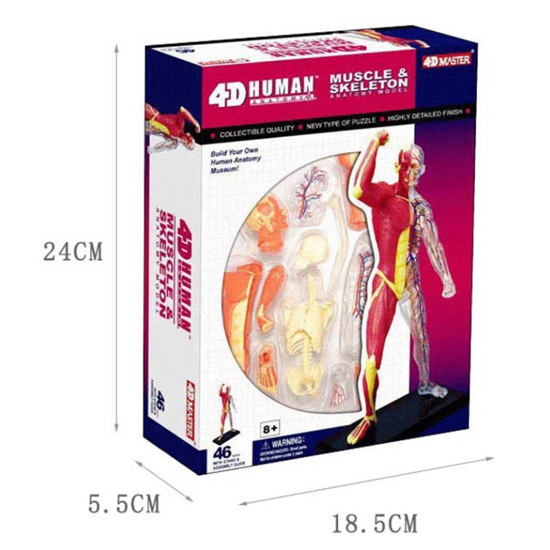 4D Master Menselijk Spier Skel - Medical Lab Technology recensie en prijs