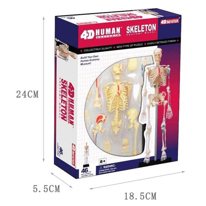 4D Menselijk Volledig Skelet A - Medical Lab Technology recensie en prijs