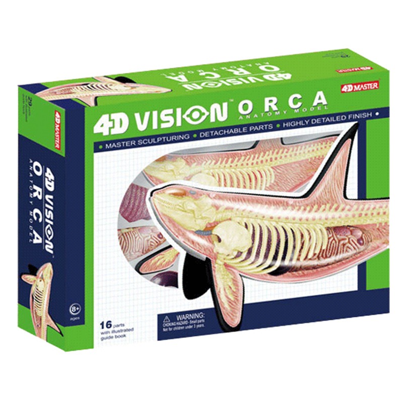 4D Vision Orca Walvis Skelet A - Medical Lab Technology recensie en prijs
