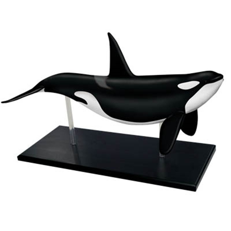 4D Vision Orca Walvis Skelet A - Medical Lab Technology recensie en prijs